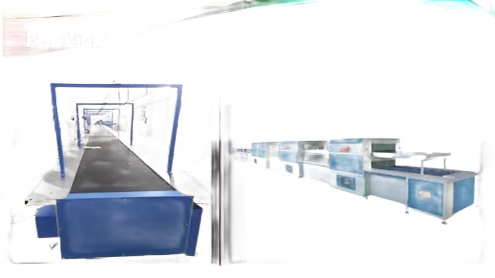 Packing & Pasting Conveyor
